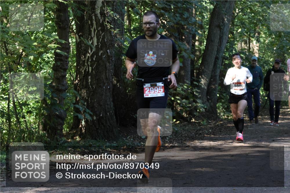 28.09.2025 - 33. Volkslauf durch das schöne Alstertal Strokosch-Dieckow http://msf.ph/oto/8970349 28.09.2025 11:48:56 Laufen 2995, 1010 meine-sportfotos.de