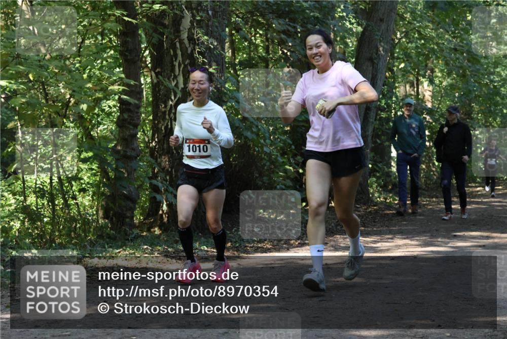 28.09.2025 - 33. Volkslauf durch das schöne Alstertal Strokosch-Dieckow http://msf.ph/oto/8970354 28.09.2025 11:48:58 Laufen 1010 meine-sportfotos.de