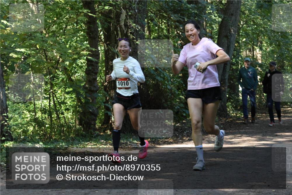 28.09.2025 - 33. Volkslauf durch das schöne Alstertal Strokosch-Dieckow http://msf.ph/oto/8970355 28.09.2025 11:48:58 Laufen 1010 meine-sportfotos.de