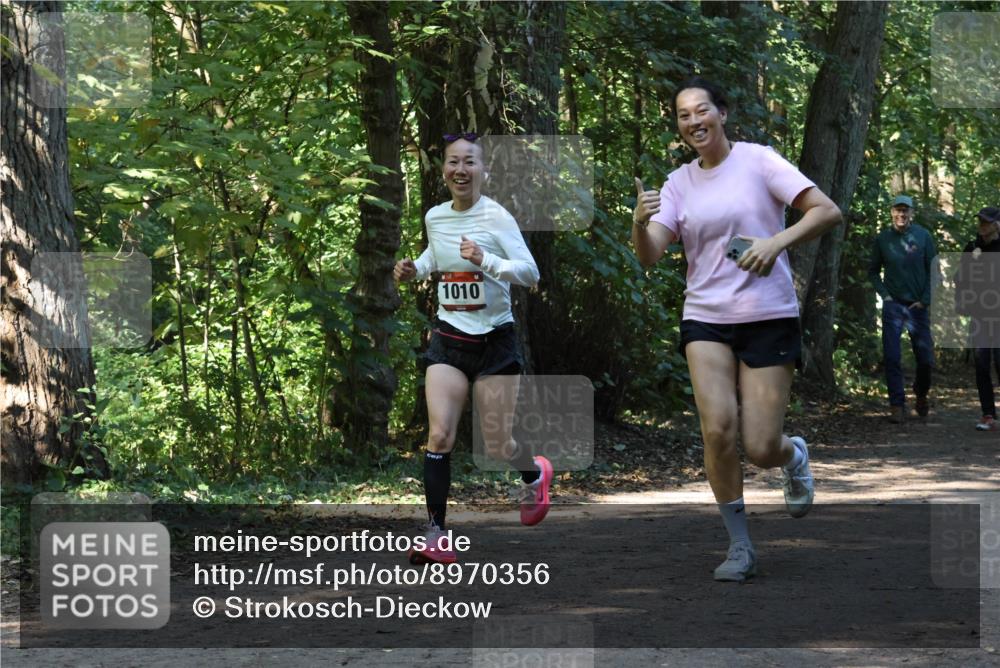 28.09.2025 - 33. Volkslauf durch das schöne Alstertal Strokosch-Dieckow http://msf.ph/oto/8970356 28.09.2025 11:48:58 Laufen 1010 meine-sportfotos.de