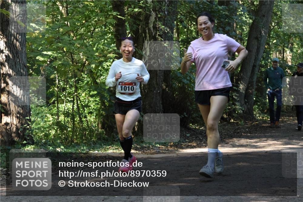 28.09.2025 - 33. Volkslauf durch das schöne Alstertal Strokosch-Dieckow http://msf.ph/oto/8970359 28.09.2025 11:48:58 Laufen 1010 meine-sportfotos.de