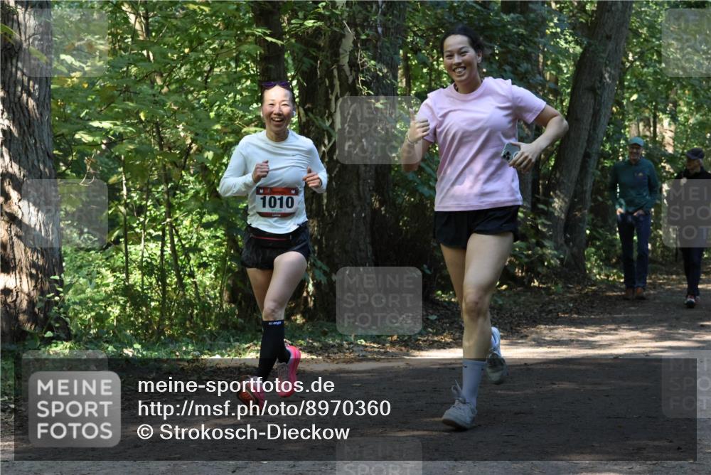 28.09.2025 - 33. Volkslauf durch das schöne Alstertal Strokosch-Dieckow http://msf.ph/oto/8970360 28.09.2025 11:48:58 Laufen 1010 meine-sportfotos.de