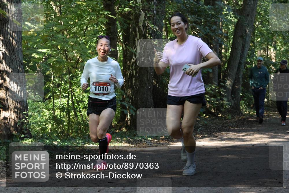 28.09.2025 - 33. Volkslauf durch das schöne Alstertal Strokosch-Dieckow http://msf.ph/oto/8970363 28.09.2025 11:48:59 Laufen 1010 meine-sportfotos.de