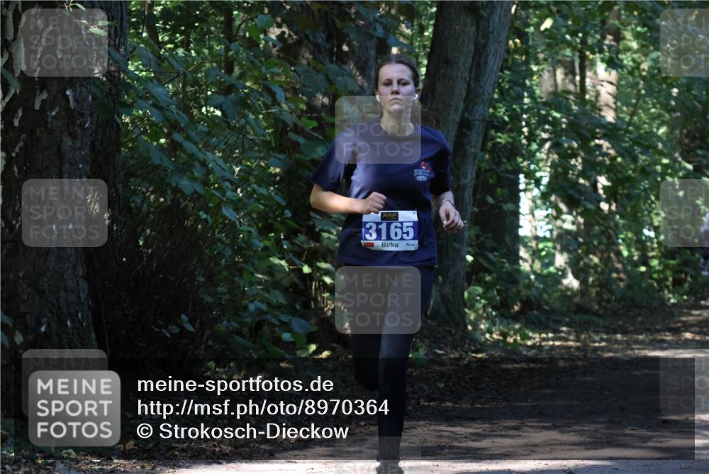 28.09.2025 - 33. Volkslauf durch das schöne Alstertal Strokosch-Dieckow http://msf.ph/oto/8970364 28.09.2025 11:49:07 Laufen 3165 meine-sportfotos.de