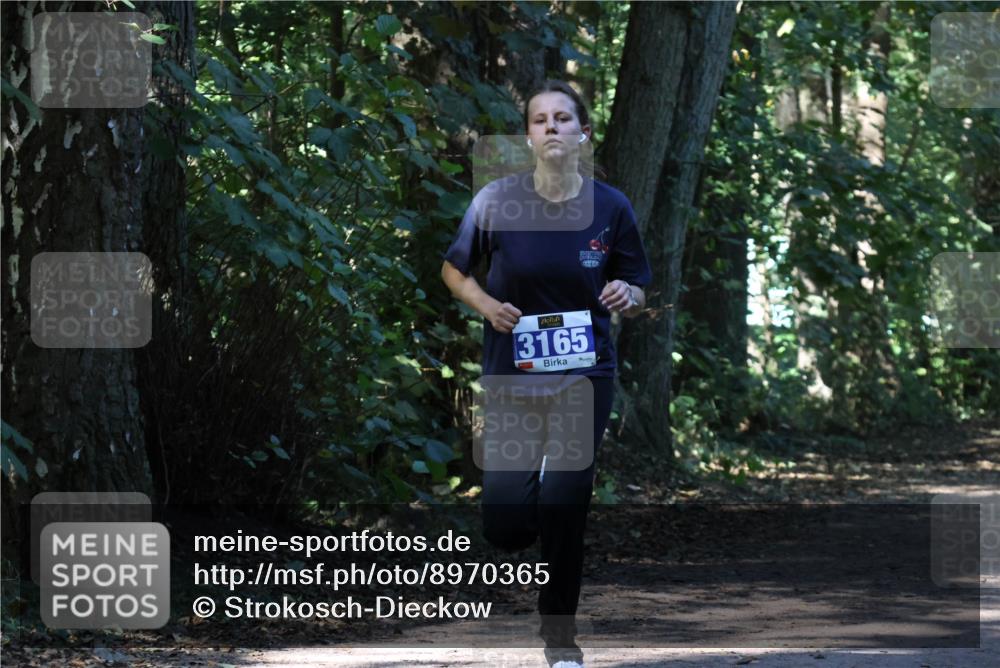 28.09.2025 - 33. Volkslauf durch das schöne Alstertal Strokosch-Dieckow http://msf.ph/oto/8970365 28.09.2025 11:49:07 Laufen 3165 meine-sportfotos.de