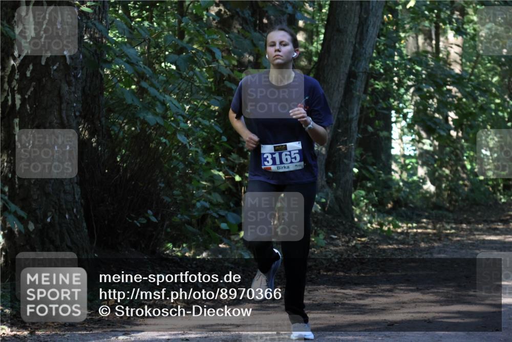 28.09.2025 - 33. Volkslauf durch das schöne Alstertal Strokosch-Dieckow http://msf.ph/oto/8970366 28.09.2025 11:49:07 Laufen 3165 meine-sportfotos.de