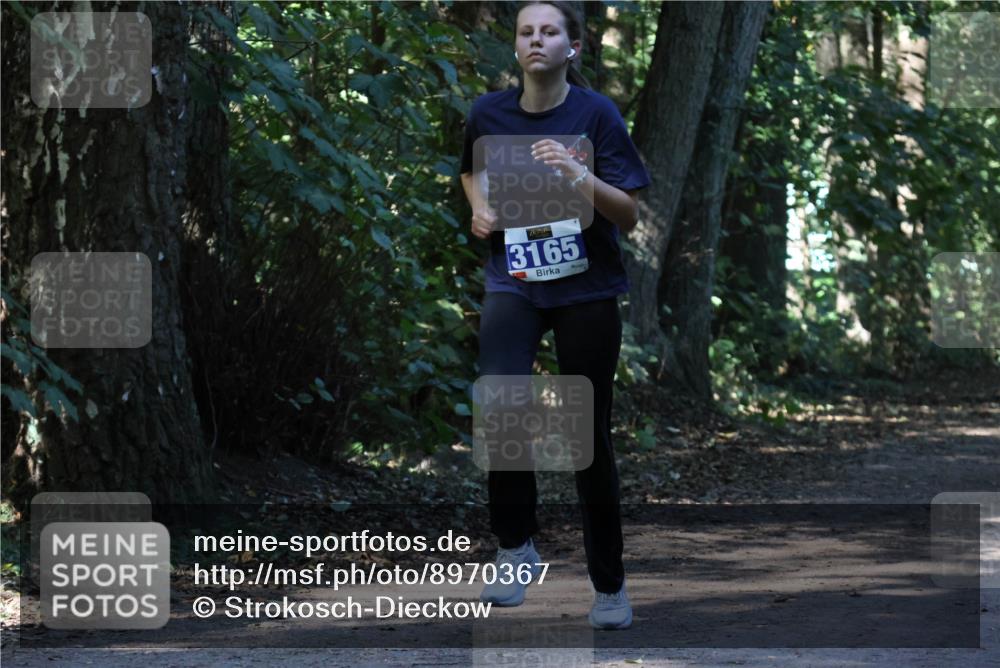 28.09.2025 - 33. Volkslauf durch das schöne Alstertal Strokosch-Dieckow http://msf.ph/oto/8970367 28.09.2025 11:49:07 Laufen 3165 meine-sportfotos.de