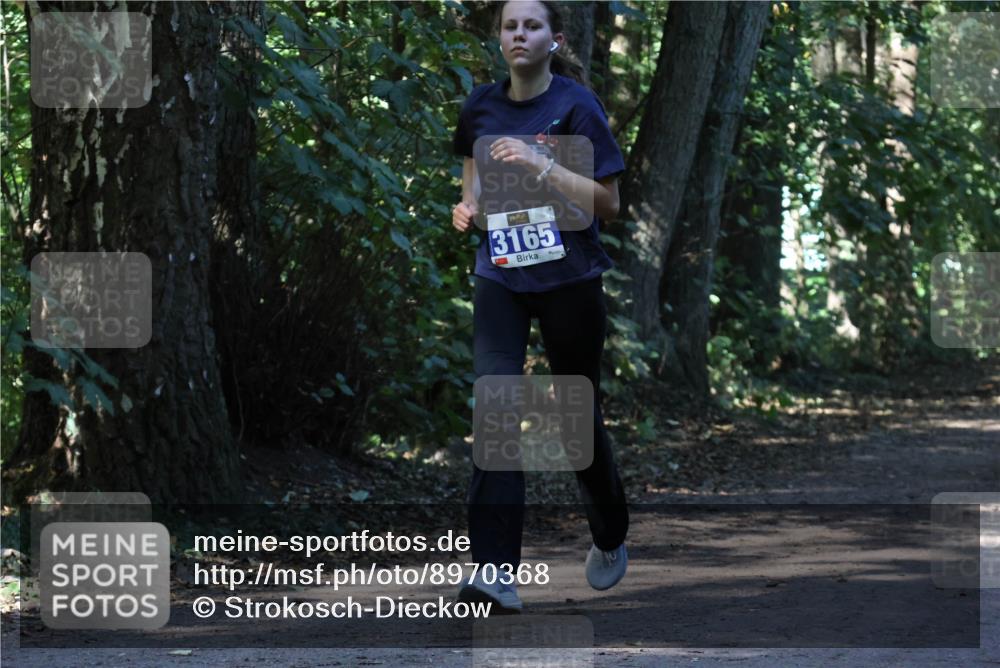 28.09.2025 - 33. Volkslauf durch das schöne Alstertal Strokosch-Dieckow http://msf.ph/oto/8970368 28.09.2025 11:49:07 Laufen 3165 meine-sportfotos.de