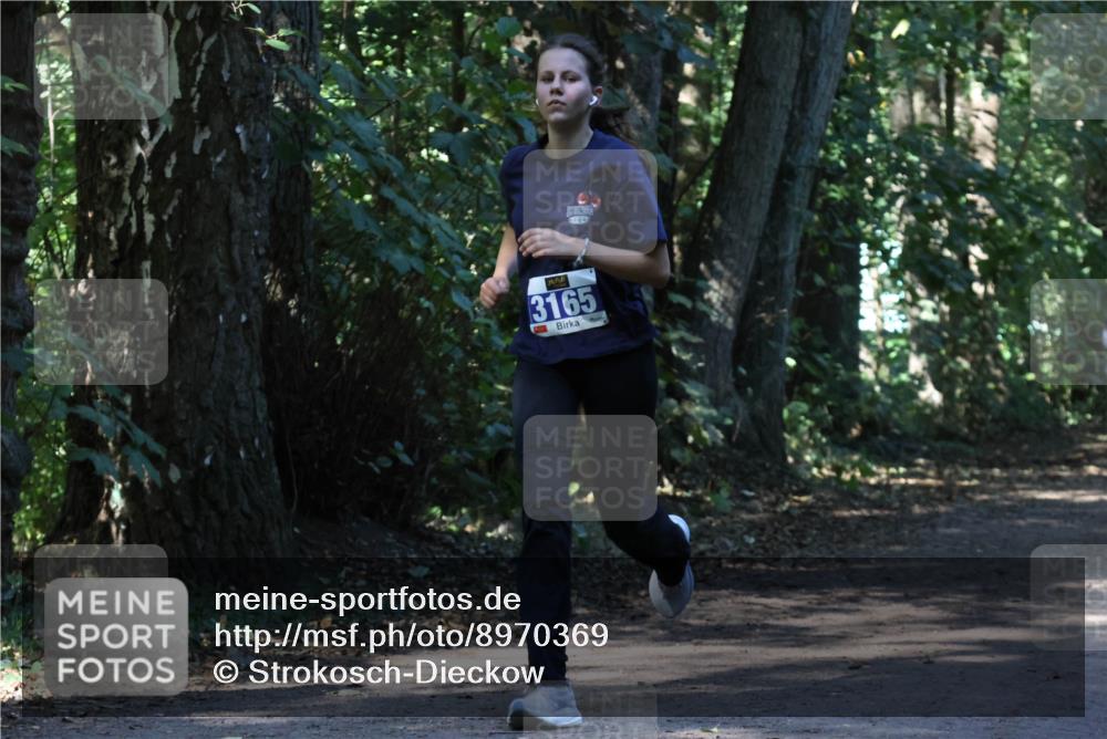 28.09.2025 - 33. Volkslauf durch das schöne Alstertal Strokosch-Dieckow http://msf.ph/oto/8970369 28.09.2025 11:49:08 Laufen 3165 meine-sportfotos.de