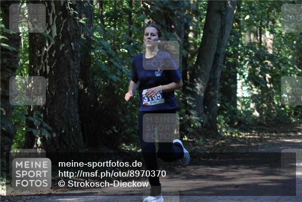 28.09.2025 - 33. Volkslauf durch das schöne Alstertal Strokosch-Dieckow http://msf.ph/oto/8970370 28.09.2025 11:49:08 Laufen 3705 meine-sportfotos.de