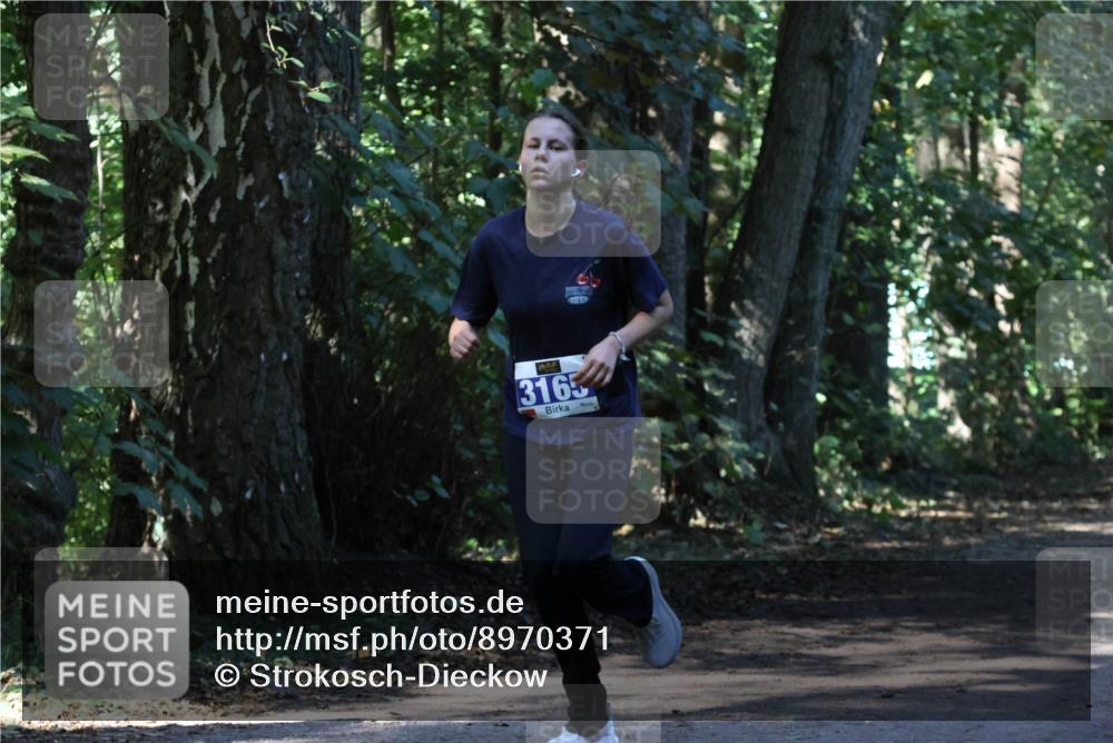 28.09.2025 - 33. Volkslauf durch das schöne Alstertal Strokosch-Dieckow http://msf.ph/oto/8970371 28.09.2025 11:49:08 Laufen 3165 meine-sportfotos.de