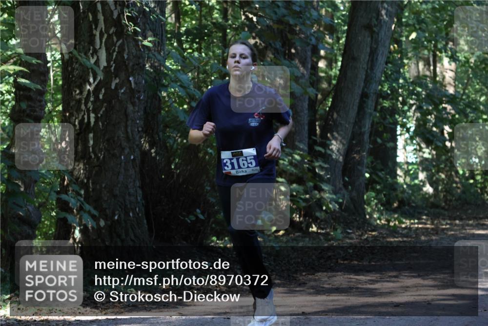 28.09.2025 - 33. Volkslauf durch das schöne Alstertal Strokosch-Dieckow http://msf.ph/oto/8970372 28.09.2025 11:49:08 Laufen 3165 meine-sportfotos.de