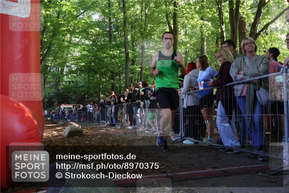 28.09.2025 - 33. Volkslauf durch das schöne Alstertal Strokosch-Dieckow http://msf.ph/oto/8970375 28.09.2025 11:51:30 Ziel 2381, 2654, 3111 meine-sportfotos.de