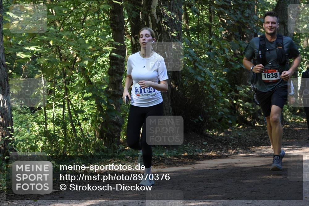 28.09.2025 - 33. Volkslauf durch das schöne Alstertal Strokosch-Dieckow http://msf.ph/oto/8970376 28.09.2025 11:49:23 Laufen 3164, 1638 meine-sportfotos.de