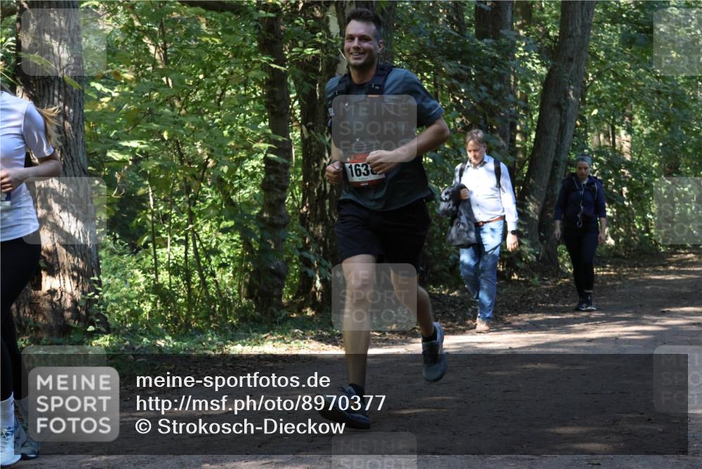 28.09.2025 - 33. Volkslauf durch das schöne Alstertal Strokosch-Dieckow http://msf.ph/oto/8970377 28.09.2025 11:49:24 Laufen 163 meine-sportfotos.de