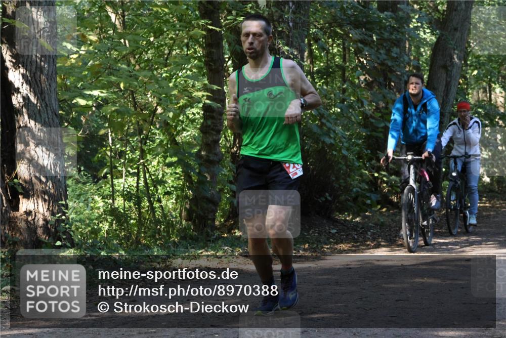 28.09.2025 - 33. Volkslauf durch das schöne Alstertal Strokosch-Dieckow http://msf.ph/oto/8970388 28.09.2025 11:49:37 Laufen  meine-sportfotos.de