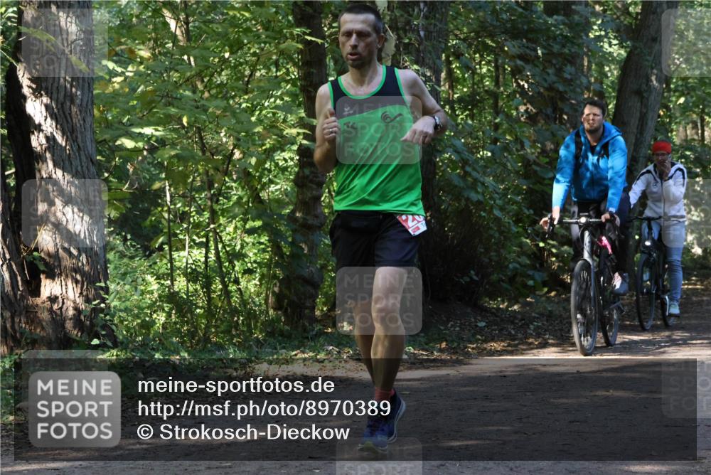 28.09.2025 - 33. Volkslauf durch das schöne Alstertal Strokosch-Dieckow http://msf.ph/oto/8970389 28.09.2025 11:49:37 Laufen  meine-sportfotos.de