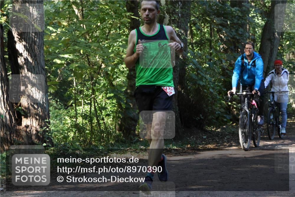28.09.2025 - 33. Volkslauf durch das schöne Alstertal Strokosch-Dieckow http://msf.ph/oto/8970390 28.09.2025 11:49:37 Laufen  meine-sportfotos.de
