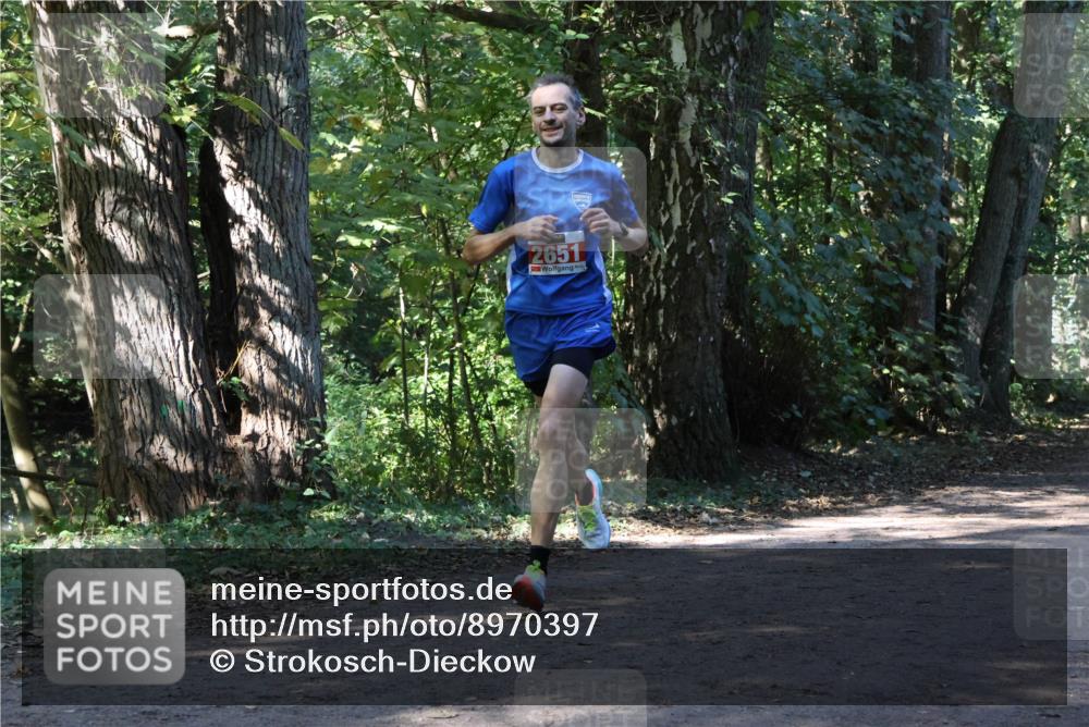 28.09.2025 - 33. Volkslauf durch das schöne Alstertal Strokosch-Dieckow http://msf.ph/oto/8970397 28.09.2025 11:50:10 Laufen 2651 meine-sportfotos.de