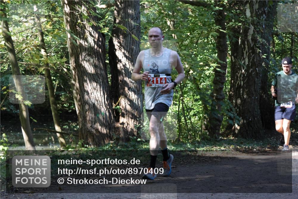 28.09.2025 - 33. Volkslauf durch das schöne Alstertal Strokosch-Dieckow http://msf.ph/oto/8970409 28.09.2025 11:50:33 Laufen 2114, 1594 meine-sportfotos.de