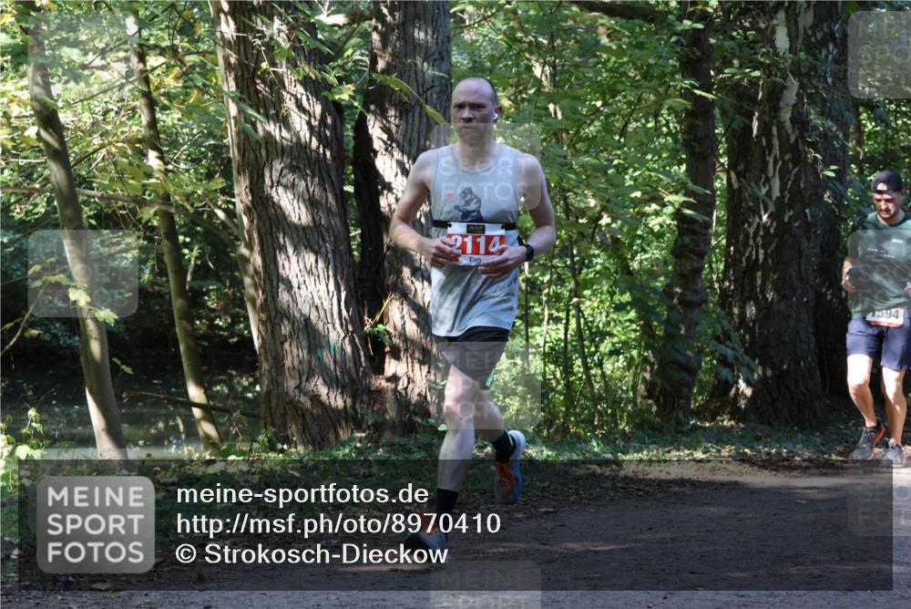 28.09.2025 - 33. Volkslauf durch das schöne Alstertal Strokosch-Dieckow http://msf.ph/oto/8970410 28.09.2025 11:50:33 Laufen 2114, 1594 meine-sportfotos.de