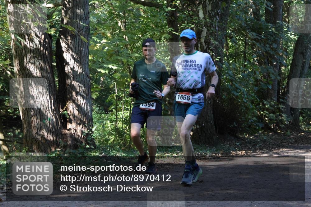 28.09.2025 - 33. Volkslauf durch das schöne Alstertal Strokosch-Dieckow http://msf.ph/oto/8970412 28.09.2025 11:50:34 Laufen 1594, 1656 meine-sportfotos.de
