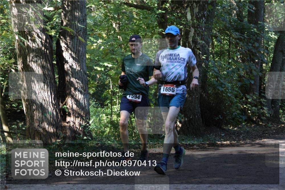 28.09.2025 - 33. Volkslauf durch das schöne Alstertal Strokosch-Dieckow http://msf.ph/oto/8970413 28.09.2025 11:50:34 Laufen 1594, 1656 meine-sportfotos.de