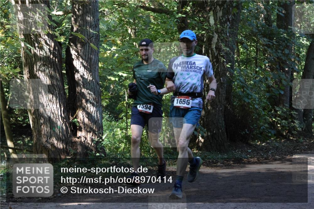 28.09.2025 - 33. Volkslauf durch das schöne Alstertal Strokosch-Dieckow http://msf.ph/oto/8970414 28.09.2025 11:50:34 Laufen 1594, 1656 meine-sportfotos.de