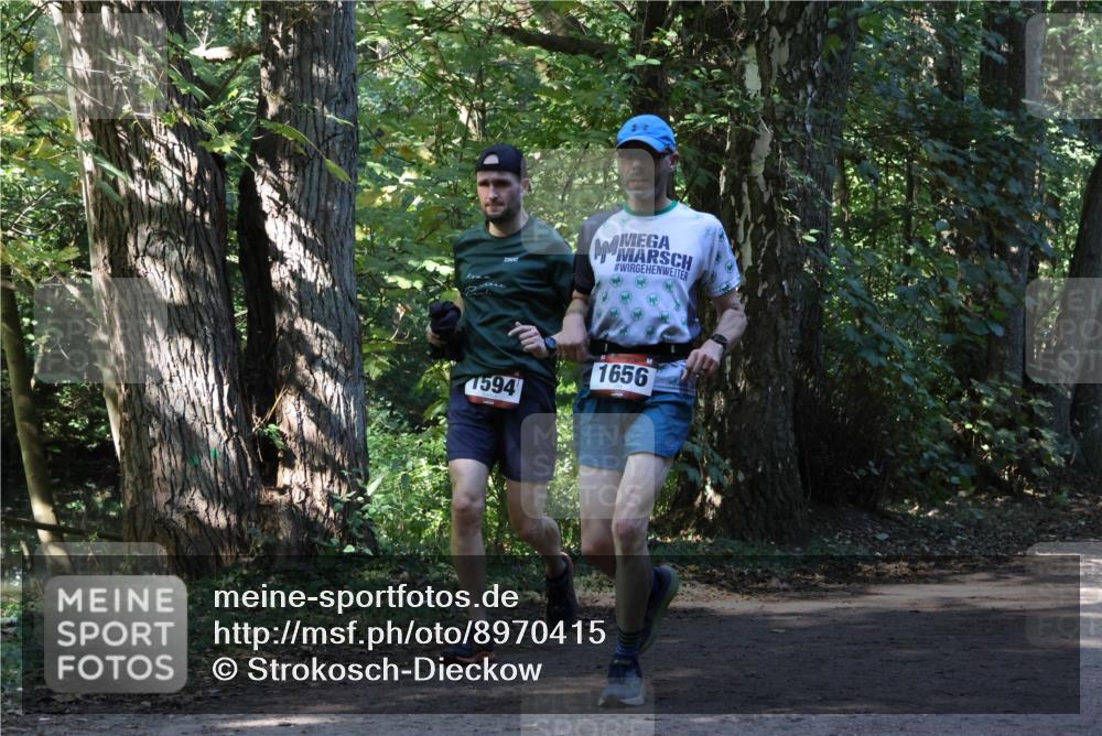 28.09.2025 - 33. Volkslauf durch das schöne Alstertal Strokosch-Dieckow http://msf.ph/oto/8970415 28.09.2025 11:50:34 Laufen 1594, 1656 meine-sportfotos.de