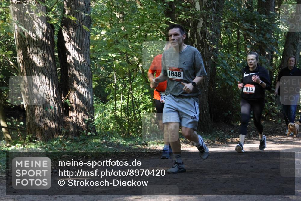 28.09.2025 - 33. Volkslauf durch das schöne Alstertal Strokosch-Dieckow http://msf.ph/oto/8970420 28.09.2025 11:50:51 Laufen 1648, 1015 meine-sportfotos.de