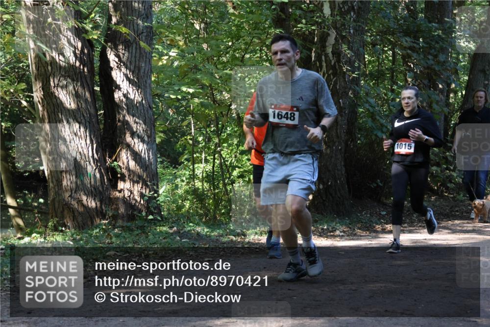 28.09.2025 - 33. Volkslauf durch das schöne Alstertal Strokosch-Dieckow http://msf.ph/oto/8970421 28.09.2025 11:50:52 Laufen 1648, 1015 meine-sportfotos.de