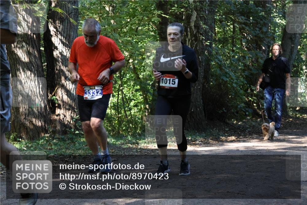28.09.2025 - 33. Volkslauf durch das schöne Alstertal Strokosch-Dieckow http://msf.ph/oto/8970423 28.09.2025 11:50:53 Laufen 3332, 1015 meine-sportfotos.de