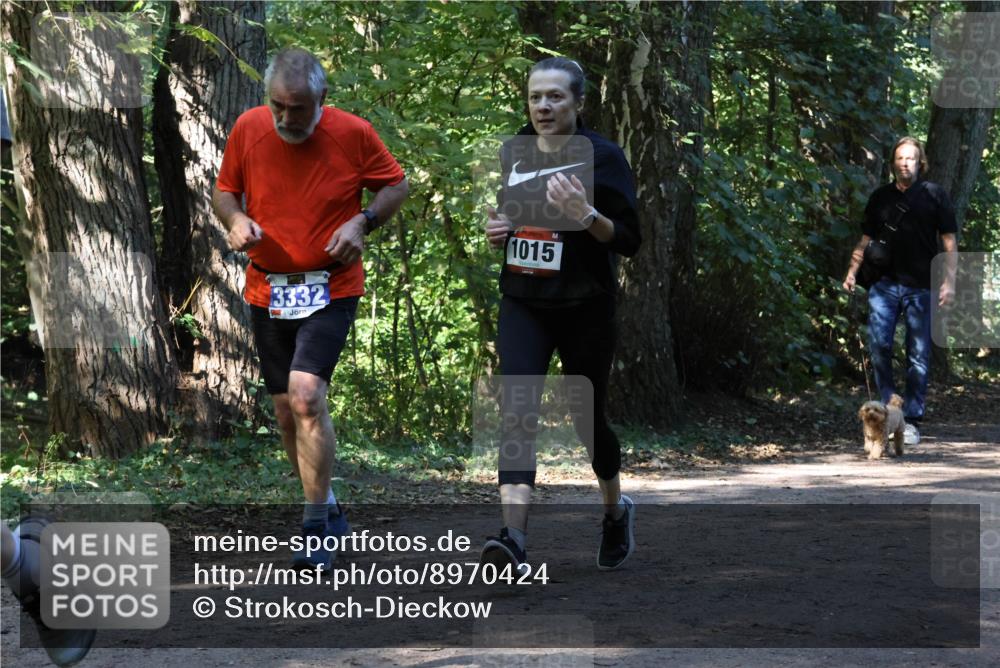 28.09.2025 - 33. Volkslauf durch das schöne Alstertal Strokosch-Dieckow http://msf.ph/oto/8970424 28.09.2025 11:50:53 Laufen 3332, 1015 meine-sportfotos.de