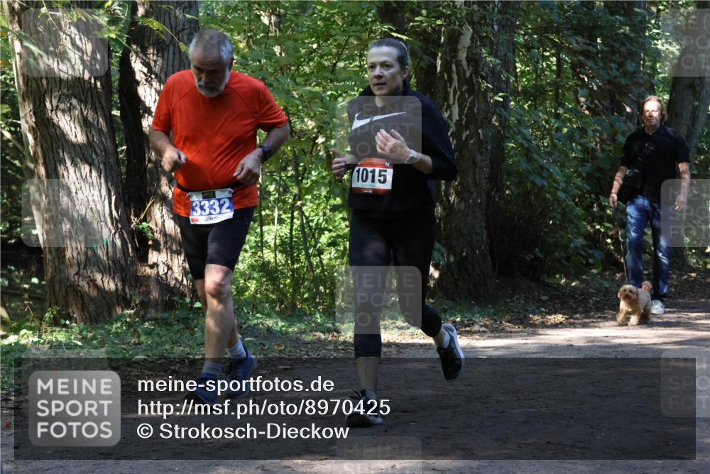 28.09.2025 - 33. Volkslauf durch das schöne Alstertal Strokosch-Dieckow http://msf.ph/oto/8970425 28.09.2025 11:50:53 Laufen 3332, 1015 meine-sportfotos.de