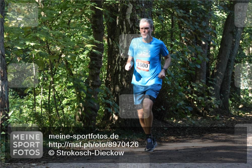 28.09.2025 - 33. Volkslauf durch das schöne Alstertal Strokosch-Dieckow http://msf.ph/oto/8970426 28.09.2025 11:51:06 Laufen 1600 meine-sportfotos.de