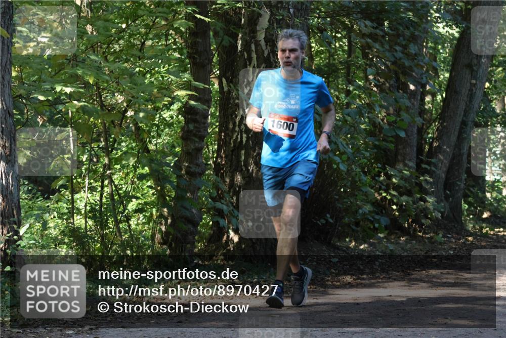 28.09.2025 - 33. Volkslauf durch das schöne Alstertal Strokosch-Dieckow http://msf.ph/oto/8970427 28.09.2025 11:51:06 Laufen 1600 meine-sportfotos.de