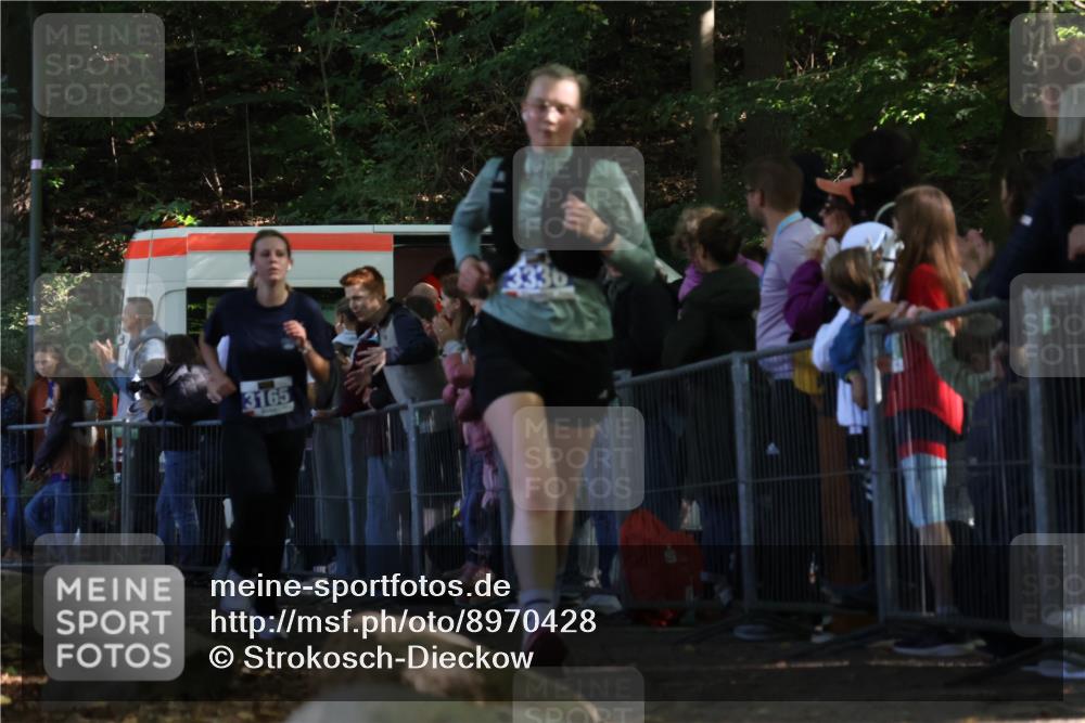 28.09.2025 - 33. Volkslauf durch das schöne Alstertal Strokosch-Dieckow http://msf.ph/oto/8970428 28.09.2025 11:51:44 Ziel 3164, 3165, 3336 meine-sportfotos.de
