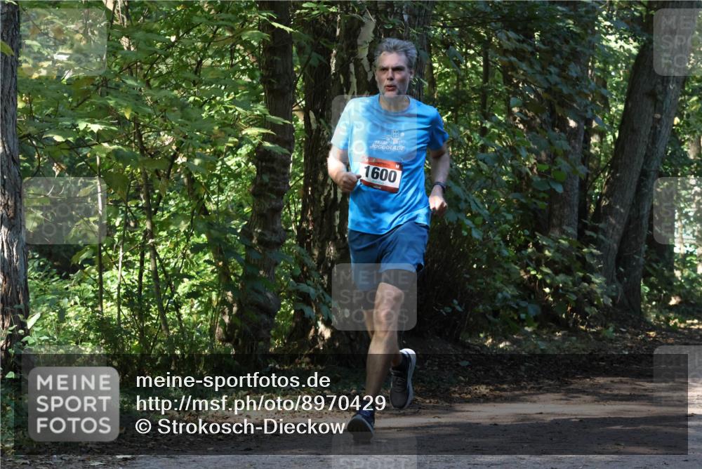 28.09.2025 - 33. Volkslauf durch das schöne Alstertal Strokosch-Dieckow http://msf.ph/oto/8970429 28.09.2025 11:51:06 Laufen 1600 meine-sportfotos.de