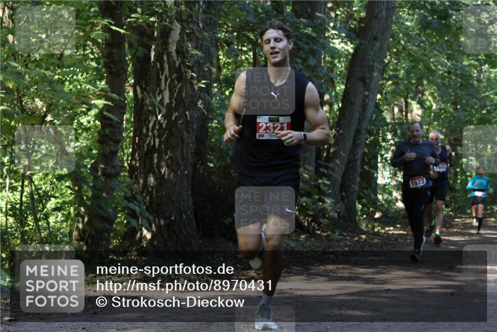 28.09.2025 - 33. Volkslauf durch das schöne Alstertal Strokosch-Dieckow http://msf.ph/oto/8970431 28.09.2025 11:51:08 Laufen 2321, 1573, 605 meine-sportfotos.de
