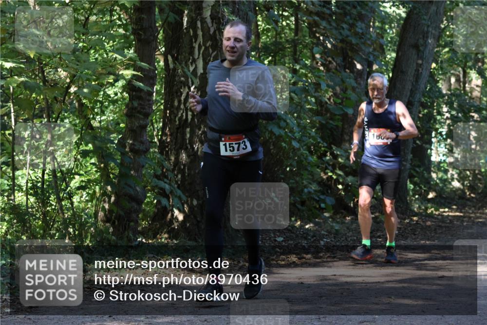 28.09.2025 - 33. Volkslauf durch das schöne Alstertal Strokosch-Dieckow http://msf.ph/oto/8970436 28.09.2025 11:51:11 Laufen 1573 meine-sportfotos.de