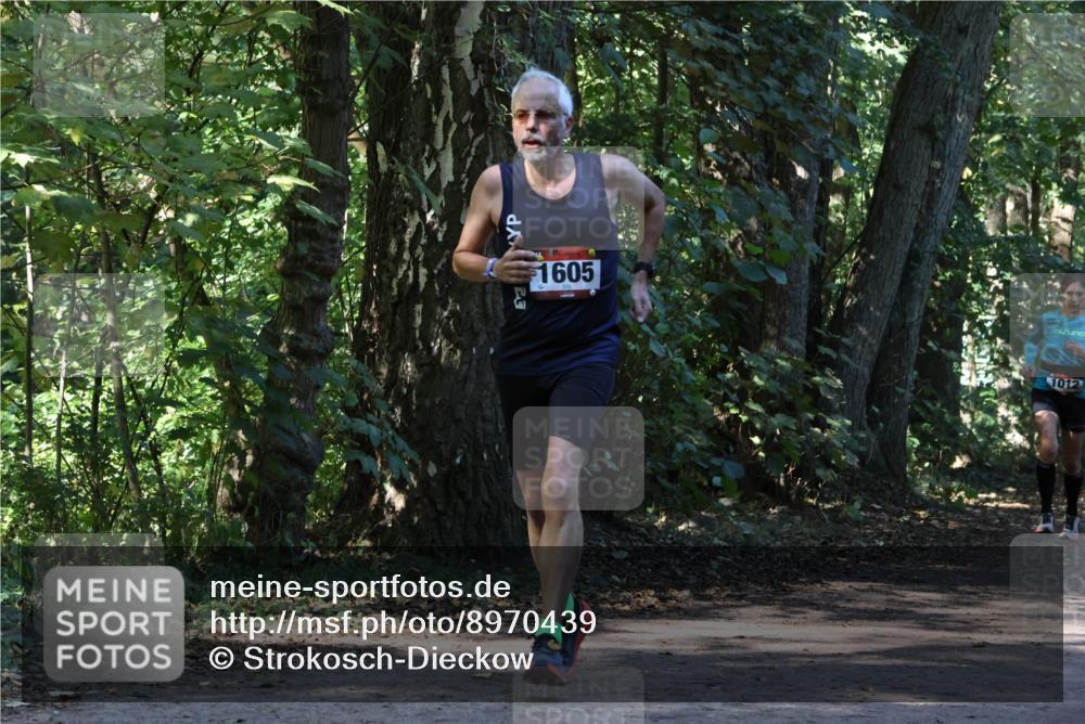 28.09.2025 - 33. Volkslauf durch das schöne Alstertal Strokosch-Dieckow http://msf.ph/oto/8970439 28.09.2025 11:51:13 Laufen 1605, 1012 meine-sportfotos.de