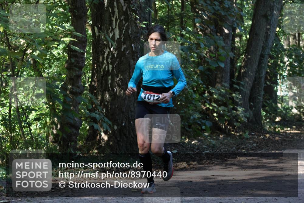 28.09.2025 - 33. Volkslauf durch das schöne Alstertal Strokosch-Dieckow http://msf.ph/oto/8970440 28.09.2025 11:51:17 Laufen 1012 meine-sportfotos.de