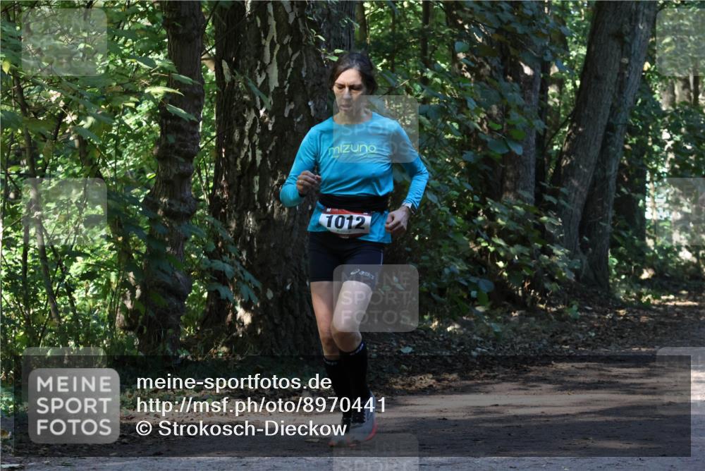 28.09.2025 - 33. Volkslauf durch das schöne Alstertal Strokosch-Dieckow http://msf.ph/oto/8970441 28.09.2025 11:51:17 Laufen 1012 meine-sportfotos.de