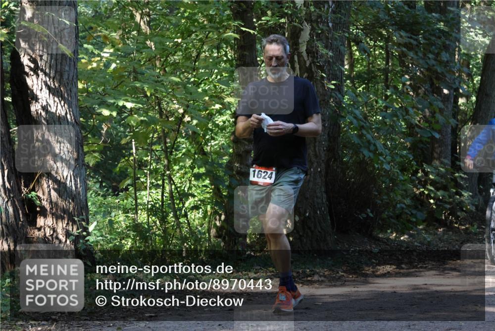 28.09.2025 - 33. Volkslauf durch das schöne Alstertal Strokosch-Dieckow http://msf.ph/oto/8970443 28.09.2025 11:51:22 Laufen 1624 meine-sportfotos.de