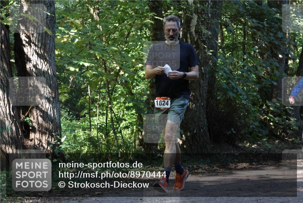 28.09.2025 - 33. Volkslauf durch das schöne Alstertal Strokosch-Dieckow http://msf.ph/oto/8970444 28.09.2025 11:51:22 Laufen 1624 meine-sportfotos.de