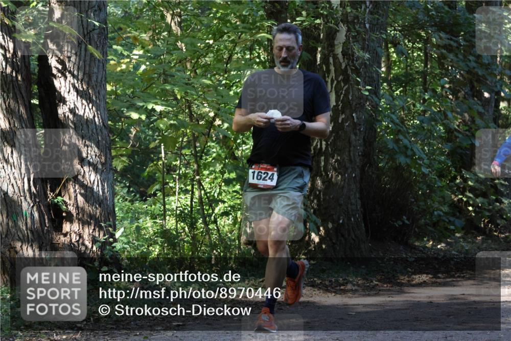 28.09.2025 - 33. Volkslauf durch das schöne Alstertal Strokosch-Dieckow http://msf.ph/oto/8970446 28.09.2025 11:51:23 Laufen 1624 meine-sportfotos.de