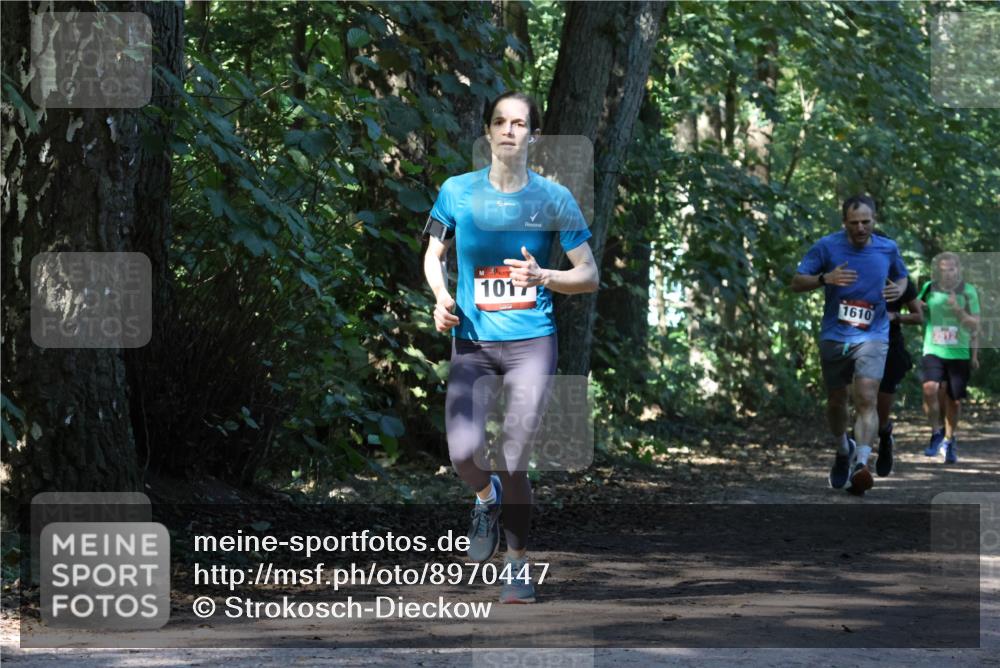 28.09.2025 - 33. Volkslauf durch das schöne Alstertal Strokosch-Dieckow http://msf.ph/oto/8970447 28.09.2025 11:52:19 Laufen 1017, 1610 meine-sportfotos.de