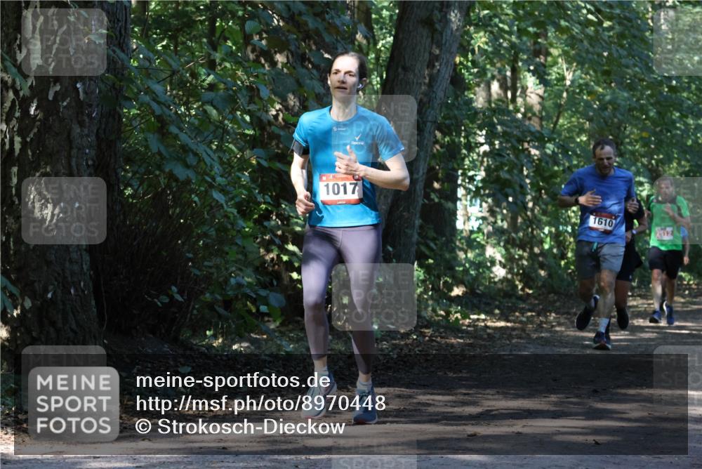 28.09.2025 - 33. Volkslauf durch das schöne Alstertal Strokosch-Dieckow http://msf.ph/oto/8970448 28.09.2025 11:52:19 Laufen 1017, 1610, 2512 meine-sportfotos.de