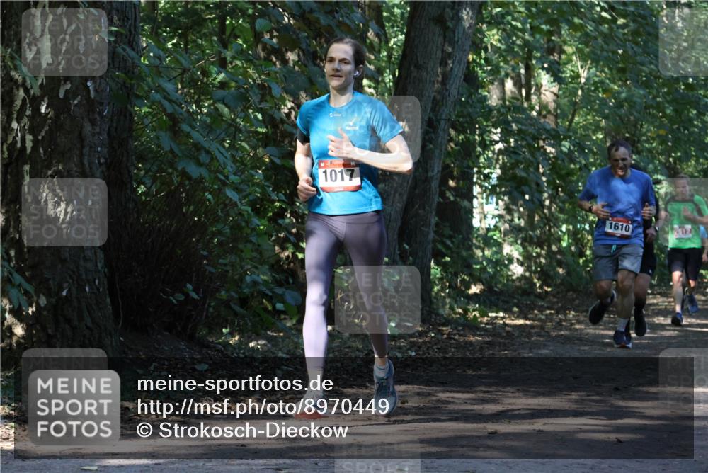 28.09.2025 - 33. Volkslauf durch das schöne Alstertal Strokosch-Dieckow http://msf.ph/oto/8970449 28.09.2025 11:52:19 Laufen 1017, 1610, 2512 meine-sportfotos.de