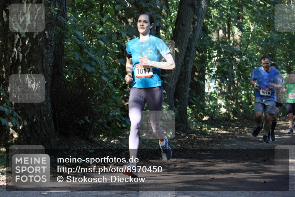 28.09.2025 - 33. Volkslauf durch das schöne Alstertal Strokosch-Dieckow http://msf.ph/oto/8970450 28.09.2025 11:52:19 Laufen 1017, 1610, 2312 meine-sportfotos.de